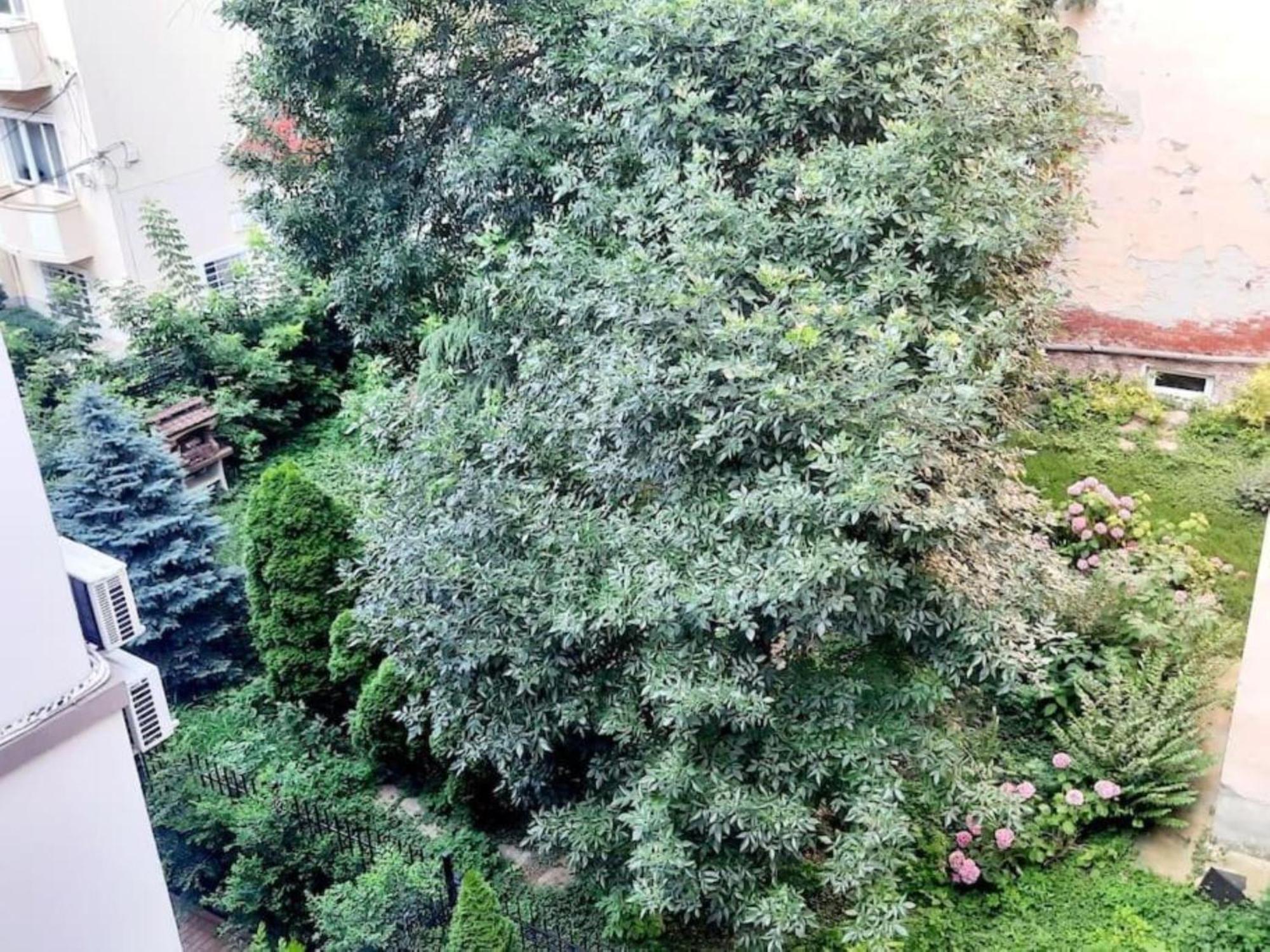 One Bedroom By The Park Old Town Belle Vue Timişoara Exterior foto