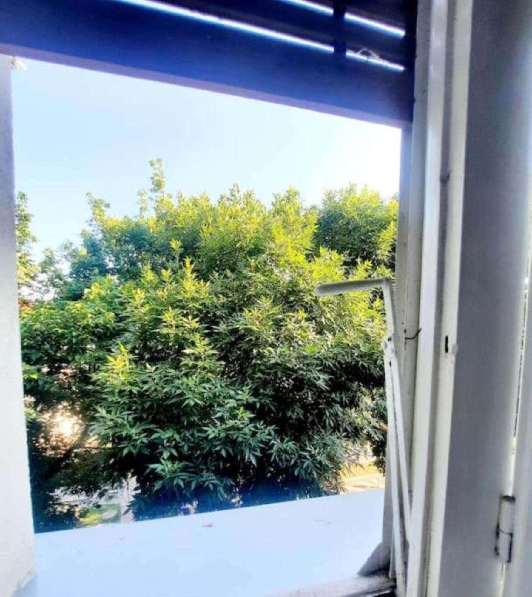 One Bedroom By The Park Old Town Belle Vue Timişoara Exterior foto